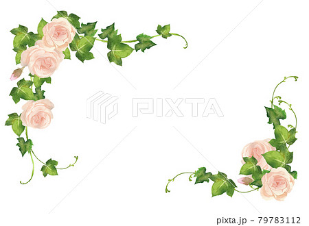 水彩の薔薇とアイビーのフレームのイラスト素材 [79783112] - PIXTA