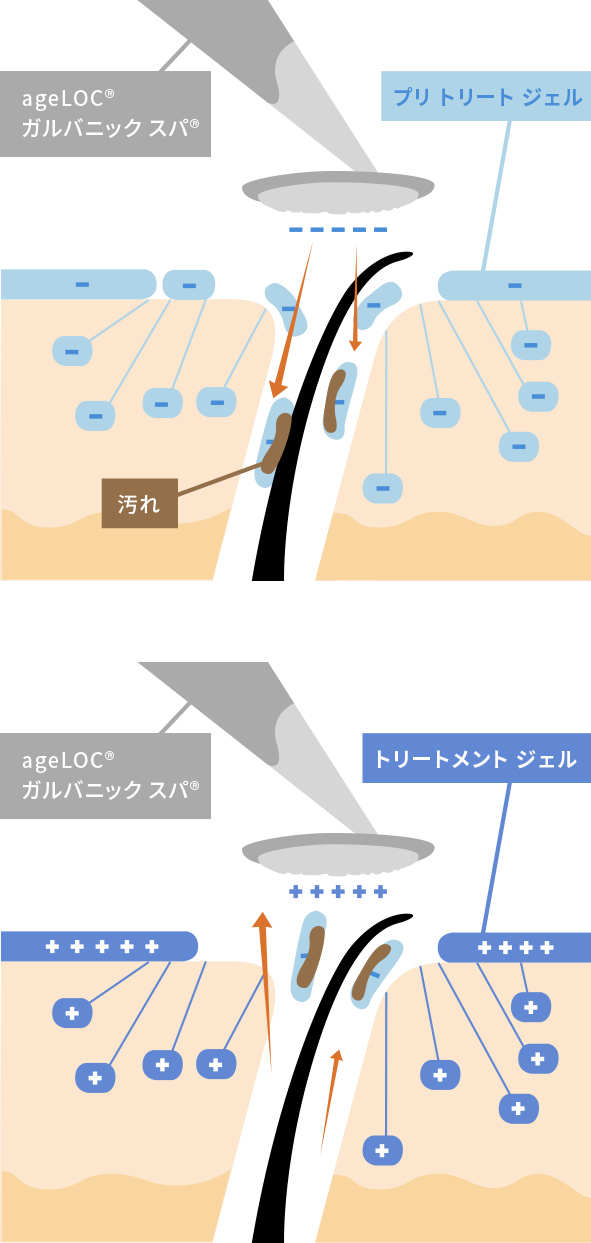 ガルバニック スパとは | ageLOC ガルバニック スパ【公式】ニュース