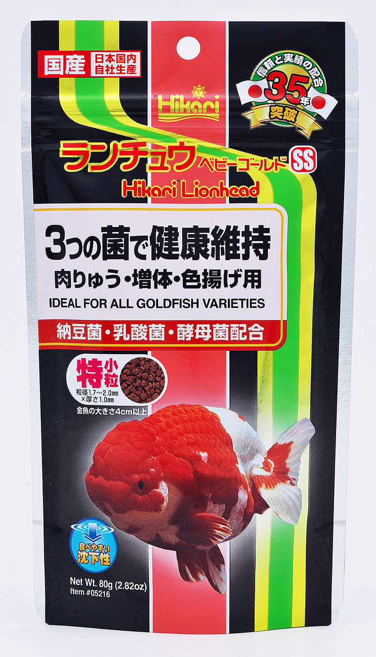 ランチュウベビーゴールド＜らんちゅう,オランダシシガシラ,東錦などに