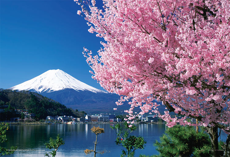 YAM-01-2068 風景 桜と富士（山梨） 108ラージピース ［CP-WH］ ［CP