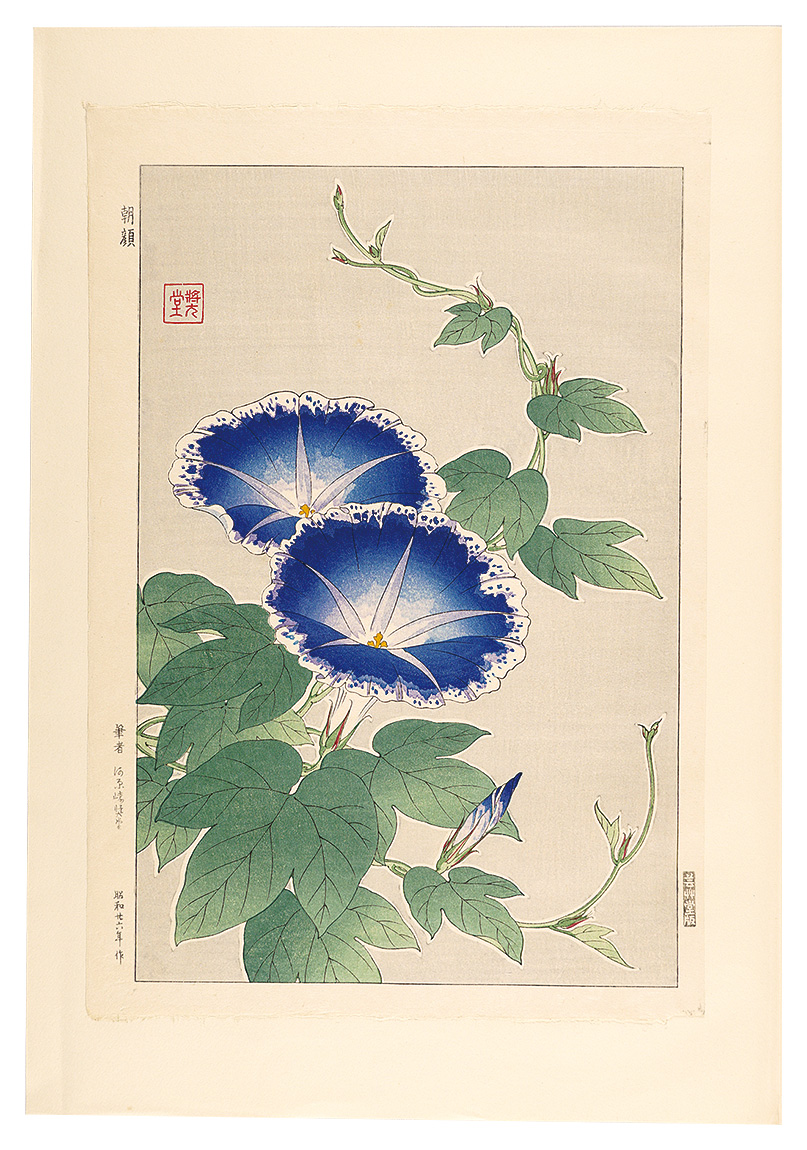 河原崎奨堂「日本の花こよみ アサガオ（朝顔）」 | 山田書店美術部