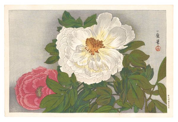 織田一磨「牡丹」 | 山田書店美術部オンラインストア