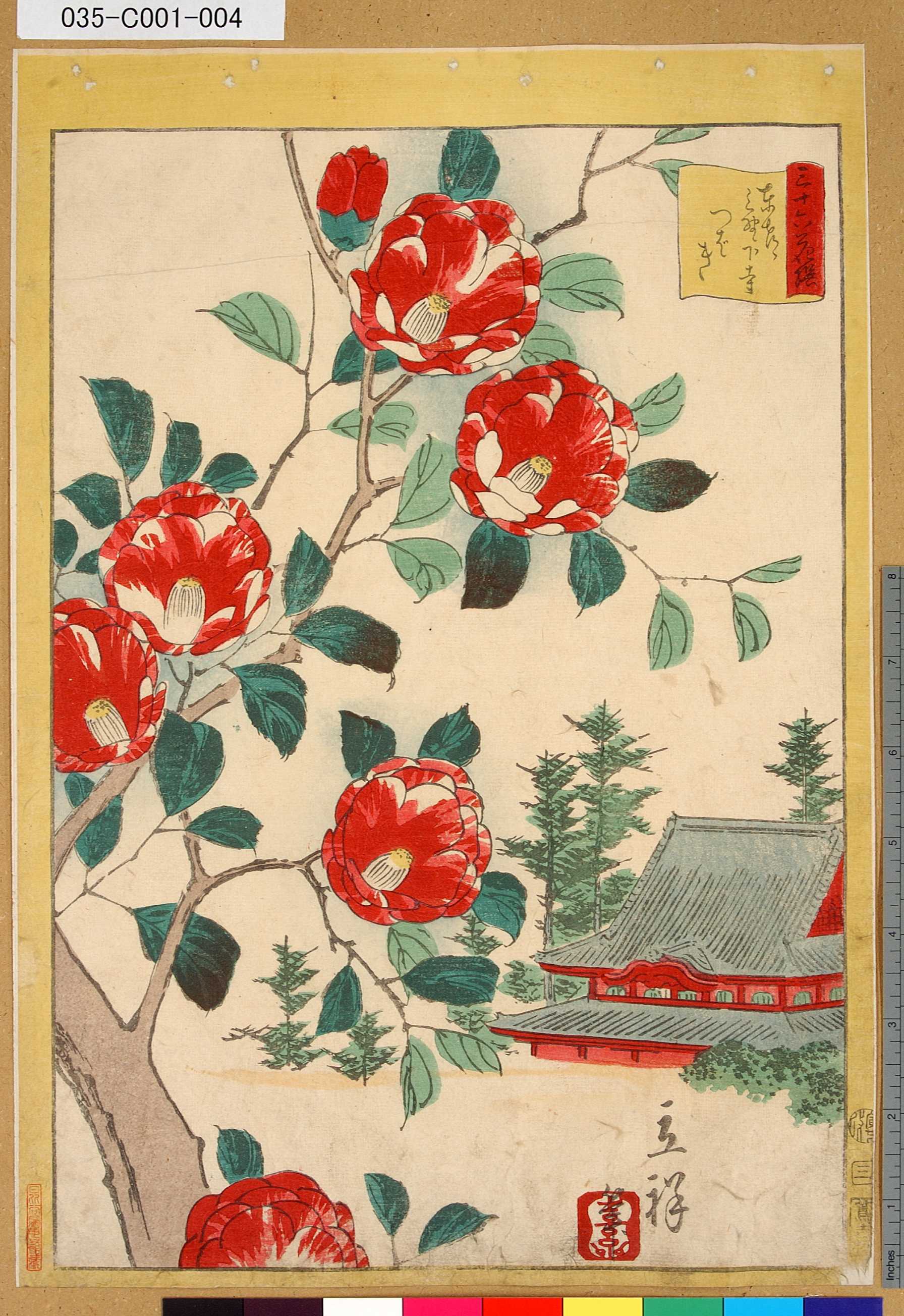 二歌川広重による浮世絵「「三十六花撰」「東都上野下寺つばき」 「三」」