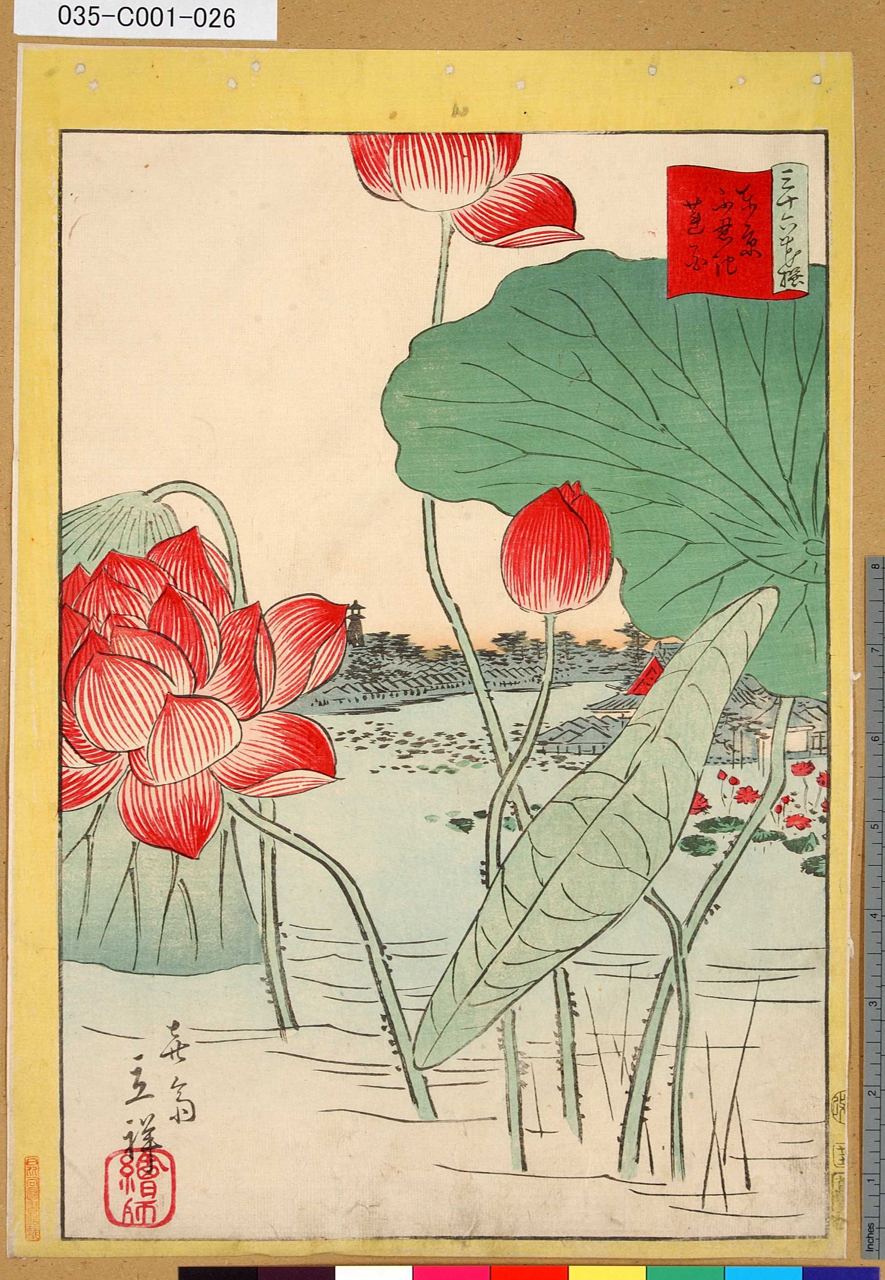 二歌川広重による浮世絵「「三十六花撰」「東京不忍池蓮花」 「廿五」」