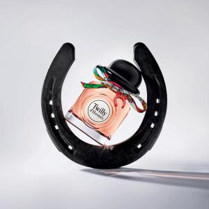 Charming Twilly d'Hermès Hermès perfume - a fragrance for women 2019