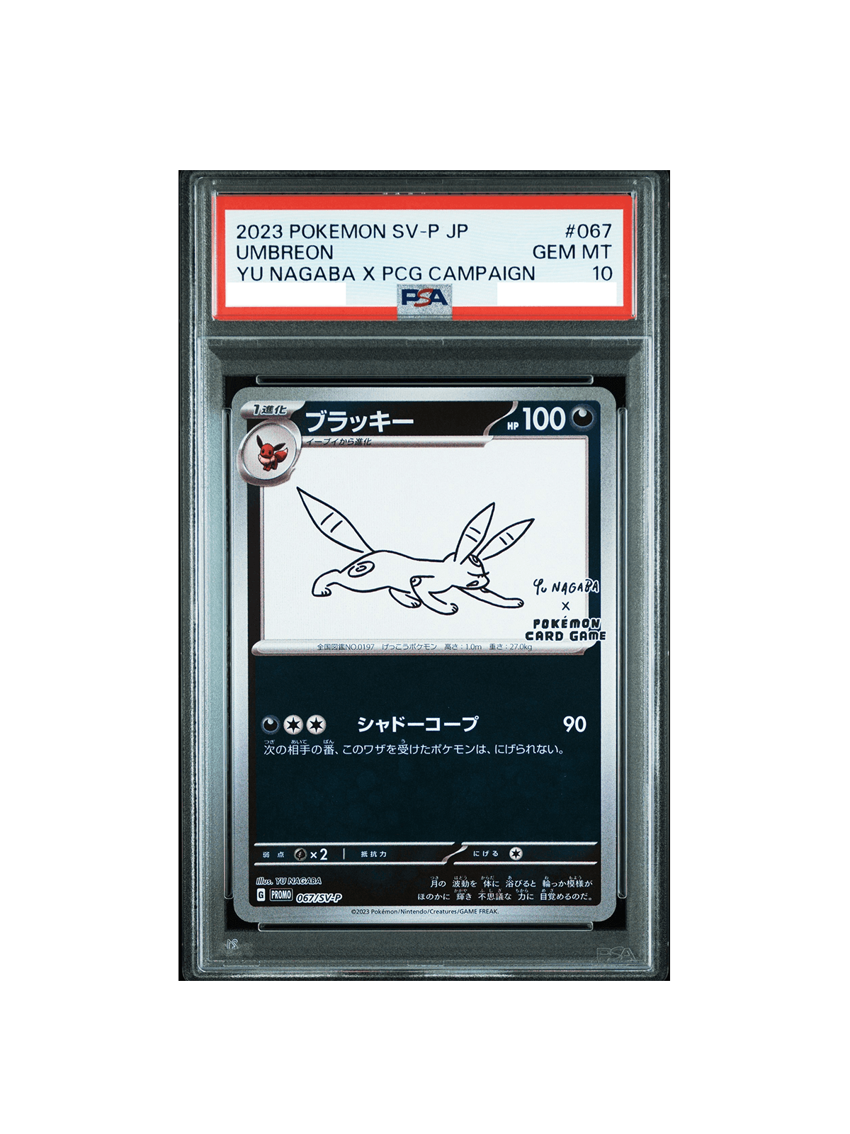 nagabaブラッキー NAGABA ブラッキー PSA10 psa10 3連番