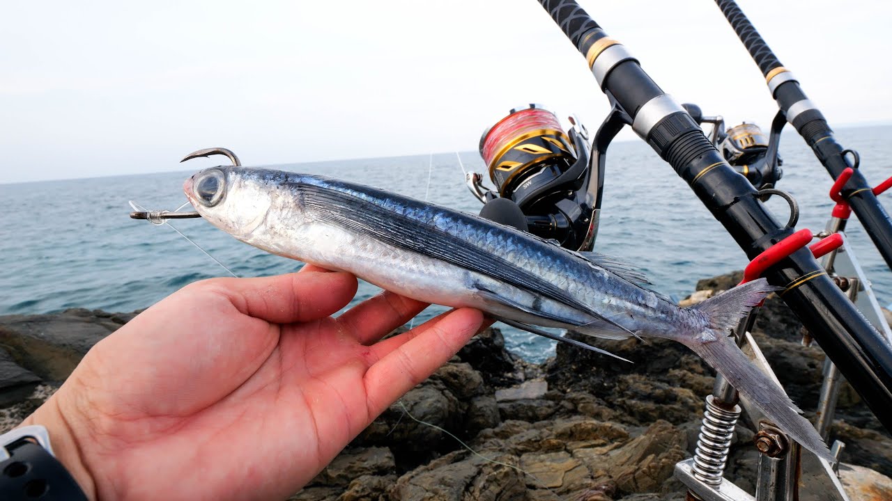 In search of big fish on a remote island, we head to the cliffs