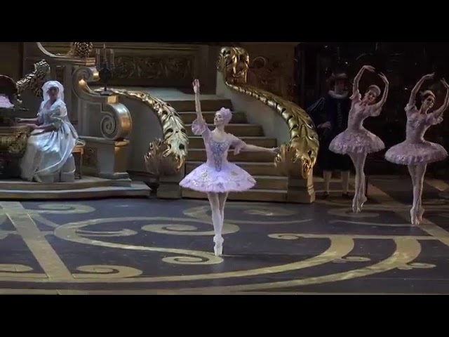リラの精のヴァリアシオン「眠れる森の美女」妖精達のパ・ド・シス
