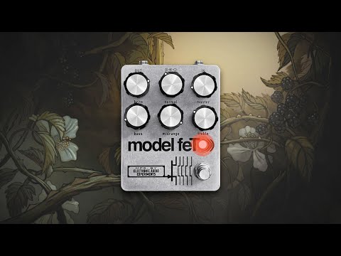 Electronic Audio Experiments Model feT Demo - YouTube