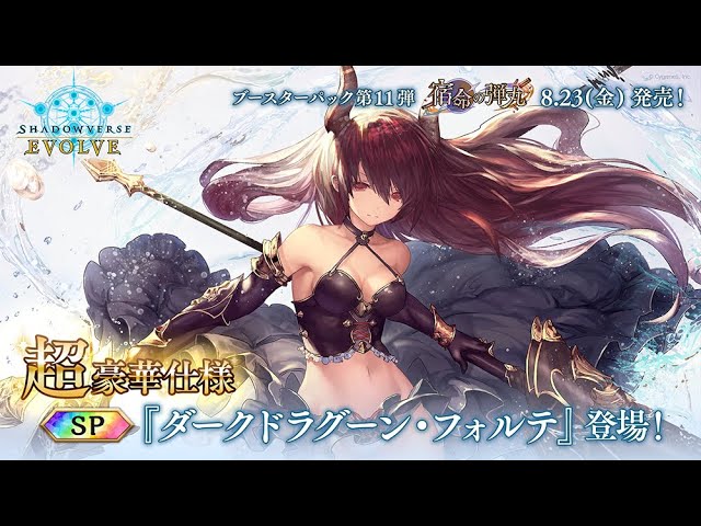 宿命の弾丸】『ダークドラグーン・フォルテ』SPイラスト紹介