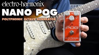 Nano POG | Polyphonic Octave Generator - Electro-Harmonix