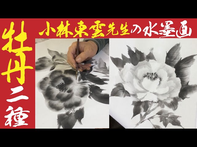 初心者：簡単技法・水墨画の牡丹の描き方2種＜実況解説＞◇東雲先生の