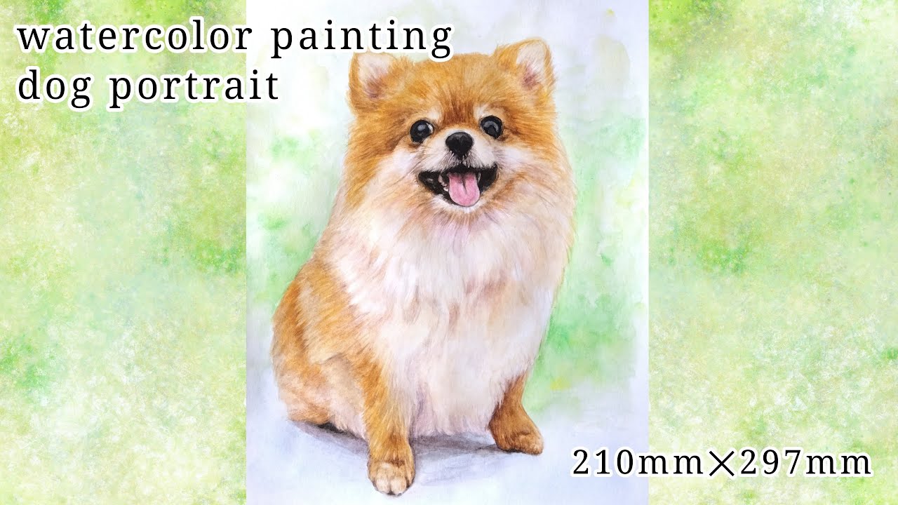 犬の水彩画 肖像画 ポメラニアン Watercolor Dog Painting Pomeranian