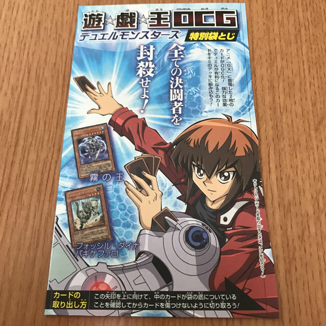 遊戯王 - 遊戯王 ザ、ヴァリュアブル・ブック10 カード2枚付録の通販