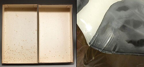マルサン 乳牛の秘密 1/5プラモデル