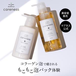 公式 シャンプー トリートメント 小ボトル セット 美容室専売 ケアネス