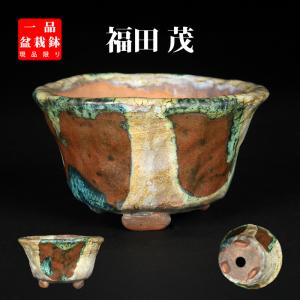 盆栽鉢 「東福寺水均釉窯変楕円鉢」 植木鉢 初代 平安東福寺 登窯 5号