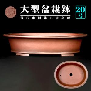 盆栽鉢 植木鉢 バーゲン 「烏泥外縁下紐丸鉢」 陶器 古渡 中国宜興 20