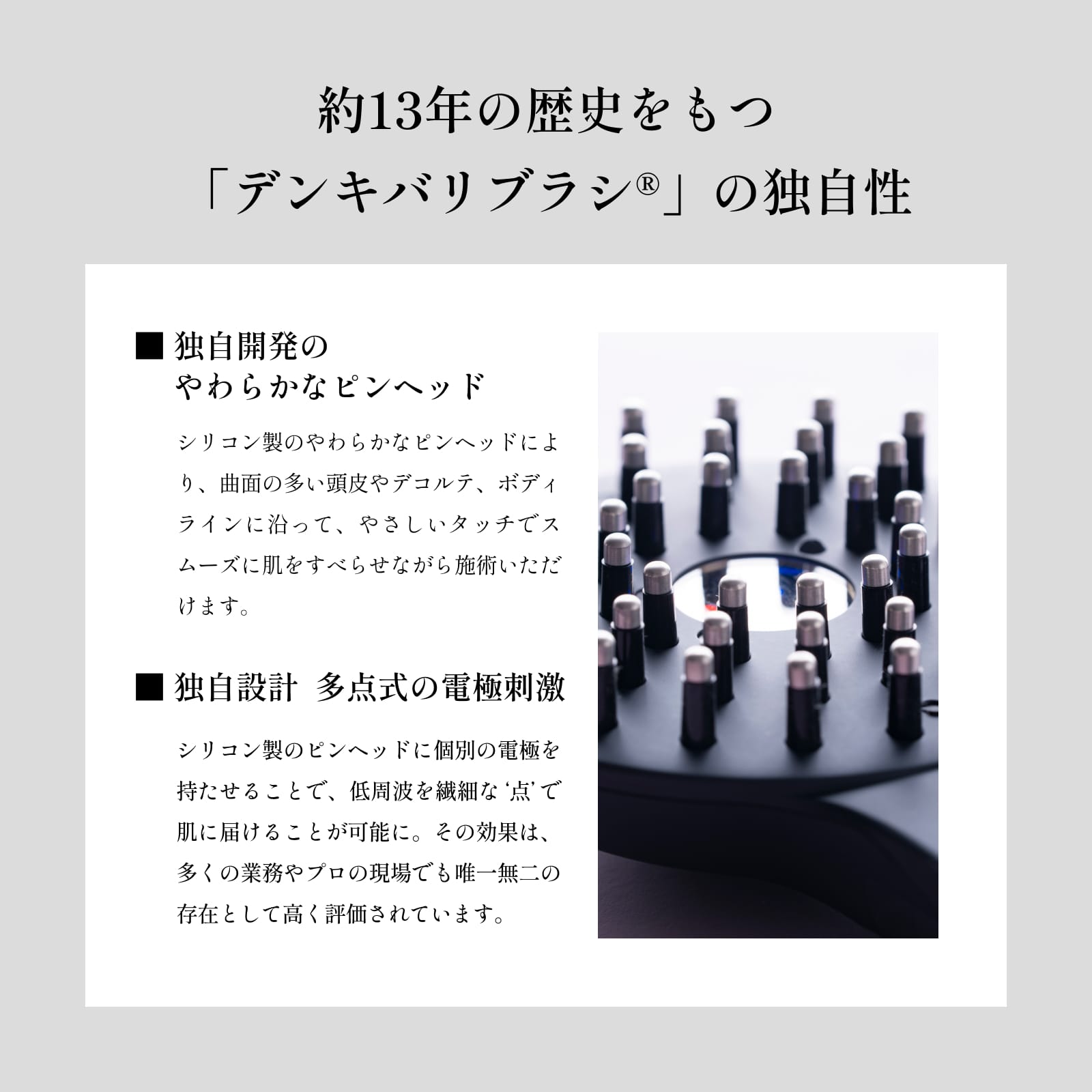デンキバリブラシ(R) 2.0【単体モデル】 | ELECTRON ONLINE SHOP