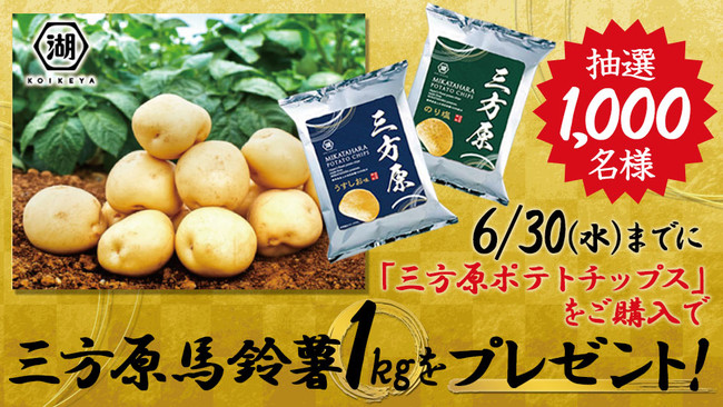 年に一度しか味わえない！ 静岡が誇る、最上級じゃがいも “三方原