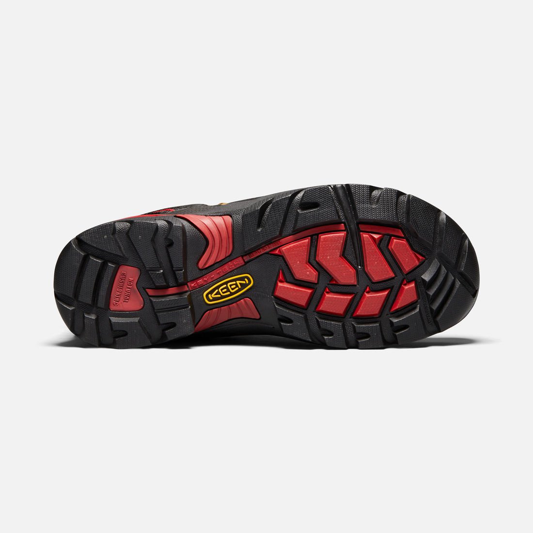 1020096 KEEN Men's CSA Hamilton 6″ Carbon WP | Reddhart Workwear