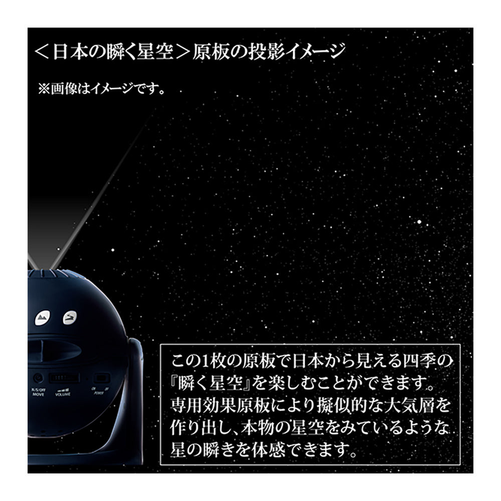 Homestar（ホームスター）ミッドナイトネイビー | セガ フェイブ