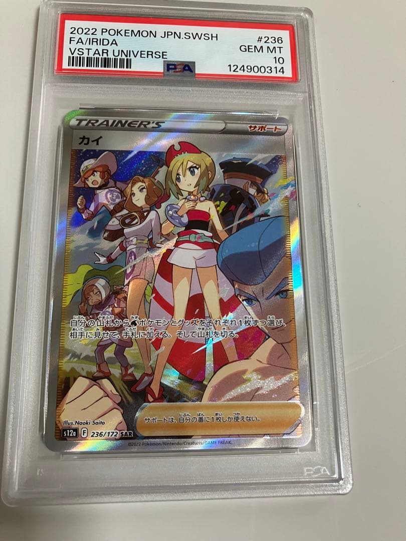 カイ SAR PSA10